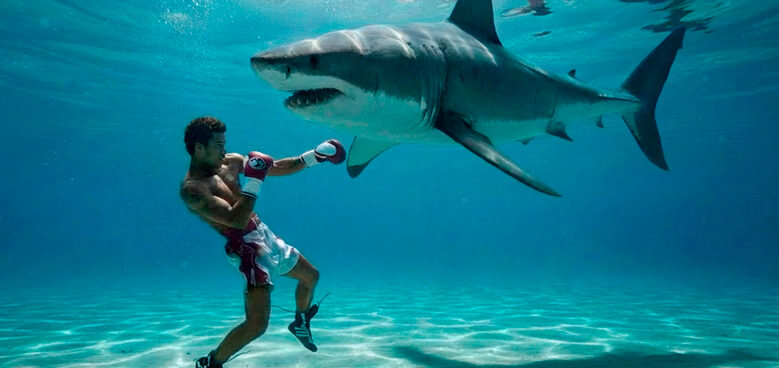 Boxeador se enfrenta a tiburón